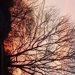 Meet your Posher, Danyka